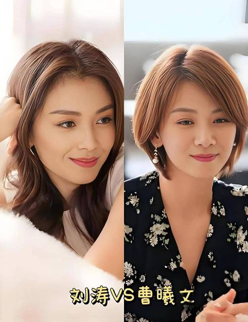 北 女明星_撞脸女明星_明星替身