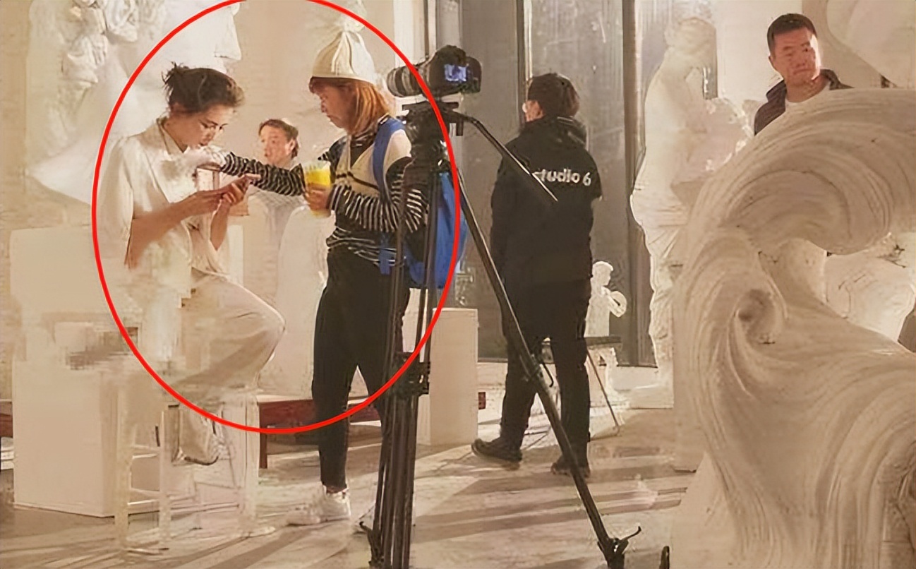 天涯明星黑料蒋欣,_刘涛贤妻良母形象争议_刘涛黑料