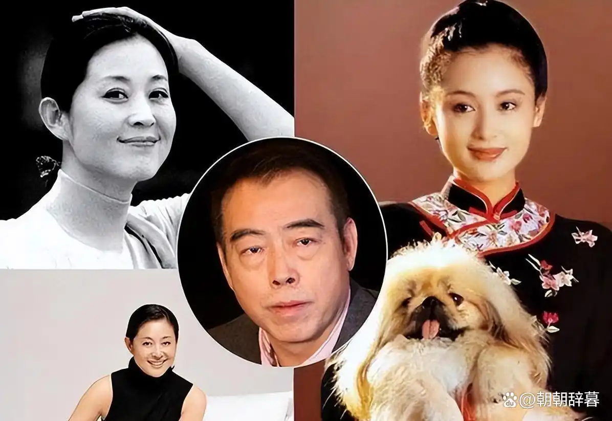 景甜郭晶晶刘亦菲朱珠许晴陈红_天生富贵相女星_旺夫面相的女明星